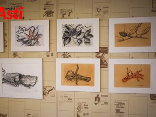 Le immagini della mostra negli scatti di Efrem Zanchettin Le immagini della mostra negli scatti di Efrem Zanchettin