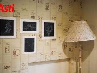 Le immagini della mostra negli scatti di Efrem Zanchettin Le immagini della mostra negli scatti di Efrem Zanchettin