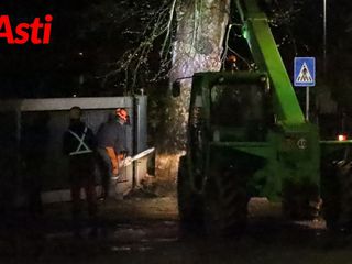 Operai al lavoro, lunedì notte, per l'abbattimento dei platani