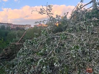 Le immagini del parco del Pollaro