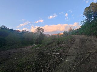 Le immagini del parco del Pollaro