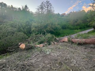 Le immagini del parco del Pollaro