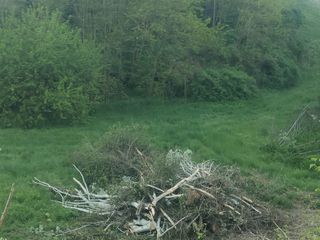 Le immagini del parco del Pollaro