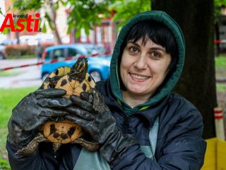 Le immagini della pulizia del laghetto (Merphefoto)