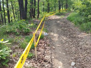 Il tracciato di Bosio