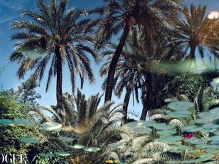 Il mondo visto dall'obiettivo di Emanuele