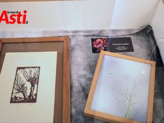 Le immagini della mostra (Merphefoto)