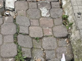 Immagini che documentano lo stato di incuria nell'area