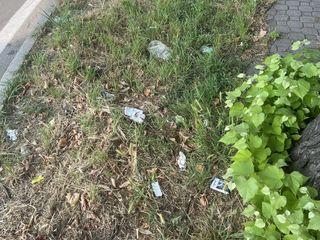 Immagini che documentano lo stato di incuria nell'area