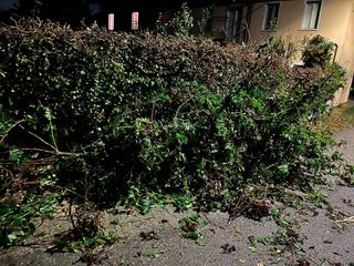 Rami prontamente rimossi da vigili del fuoco e Protezione Civile Rami prontamente rimossi da vigili del fuoco e Protezione Civile