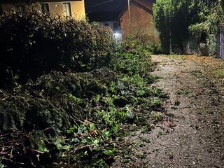 Rami prontamente rimossi da vigili del fuoco e Protezione Civile Rami prontamente rimossi da vigili del fuoco e Protezione Civile