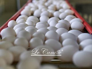 Ph Luigi Boccia
