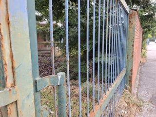 Le immagini allegate all'interpellanza Le immagini allegate all'interpellanza