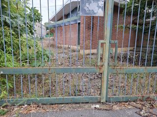 Le immagini allegate all'interpellanza Le immagini allegate all'interpellanza