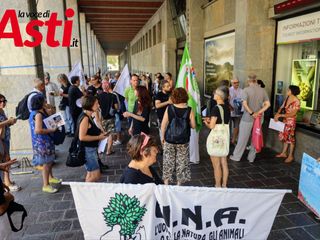 Galleria fotografica a cura di Merfephoto - Efrem Zanchettin Galleria fotografica a cura di Merfephoto - Efrem Zanchettin