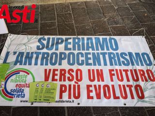 Galleria fotografica a cura di Merfephoto - Efrem Zanchettin Galleria fotografica a cura di Merfephoto - Efrem Zanchettin