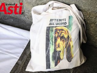 Galleria fotografica a cura di Merfephoto - Efrem Zanchettin Galleria fotografica a cura di Merfephoto - Efrem Zanchettin