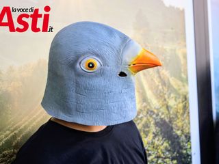 Galleria fotografica a cura di Merfephoto - Efrem Zanchettin Galleria fotografica a cura di Merfephoto - Efrem Zanchettin