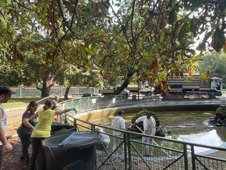 Le immagini della pulizia (Ph Giulia Frontino) Le immagini della pulizia (Ph Giulia Frontino)