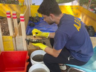 Le immagini della pulizia (Ph Giulia Frontino) Le immagini della pulizia (Ph Giulia Frontino)