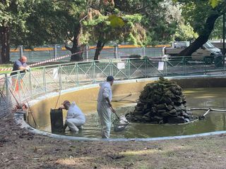Le immagini della pulizia (Ph Giulia Frontino) Le immagini della pulizia (Ph Giulia Frontino)