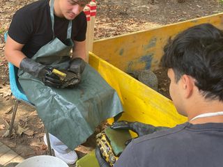 Le immagini della pulizia (Ph Giulia Frontino) Le immagini della pulizia (Ph Giulia Frontino)