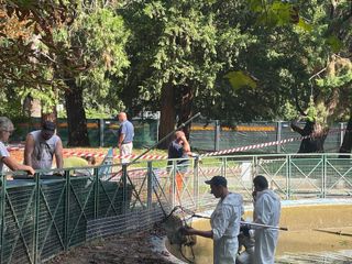 Le immagini della pulizia (Ph Giulia Frontino) Le immagini della pulizia (Ph Giulia Frontino)
