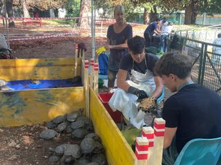 Le immagini della pulizia (Ph Giulia Frontino) Le immagini della pulizia (Ph Giulia Frontino)