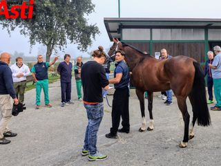Ricca fotogallery di MerfePhoto Ricca fotogallery di MerfePhoto