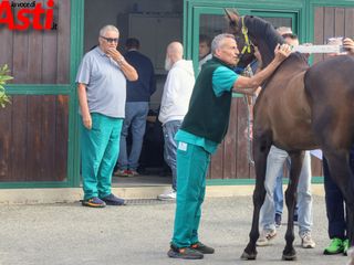 Ricca fotogallery di MerfePhoto Ricca fotogallery di MerfePhoto