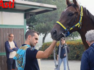 Ricca fotogallery di MerfePhoto Ricca fotogallery di MerfePhoto