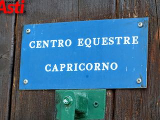 Ricca fotogallery di MerfePhoto Ricca fotogallery di MerfePhoto