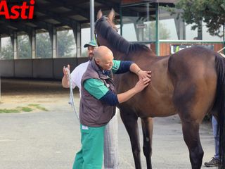 Ricca fotogallery di MerfePhoto Ricca fotogallery di MerfePhoto