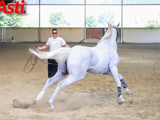 Ricca fotogallery di MerfePhoto Ricca fotogallery di MerfePhoto