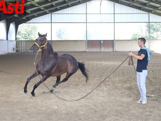 Ricca fotogallery di MerfePhoto Ricca fotogallery di MerfePhoto