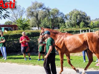Ricca fotogallery di MerfePhoto Ricca fotogallery di MerfePhoto