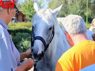 Ricca fotogallery di MerfePhoto Ricca fotogallery di MerfePhoto