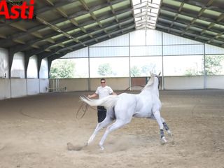 Ricca fotogallery di MerfePhoto Ricca fotogallery di MerfePhoto