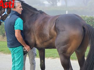 Ricca fotogallery di MerfePhoto Ricca fotogallery di MerfePhoto