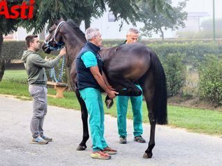 Ricca fotogallery di MerfePhoto Ricca fotogallery di MerfePhoto