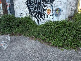 Alcune immagini della palestra