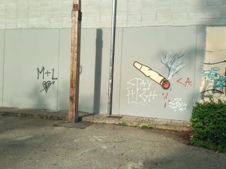 Alcune immagini della palestra