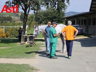 Merphefoto Merphefoto