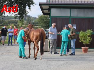 Merphefoto Merphefoto