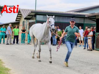 Merphefoto Merphefoto