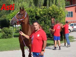 Merphefoto Merphefoto