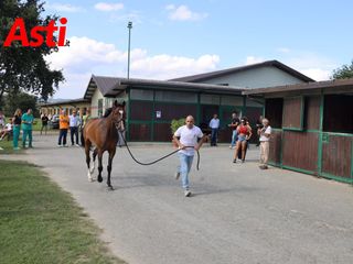 Merphefoto Merphefoto