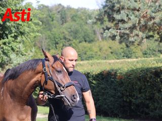 Merphefoto Merphefoto