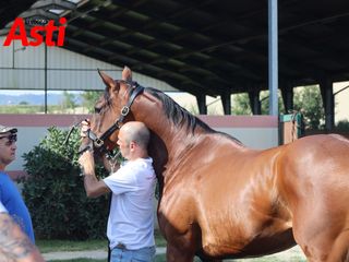 Merphefoto Merphefoto