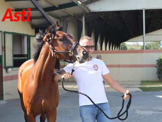 Merphefoto Merphefoto